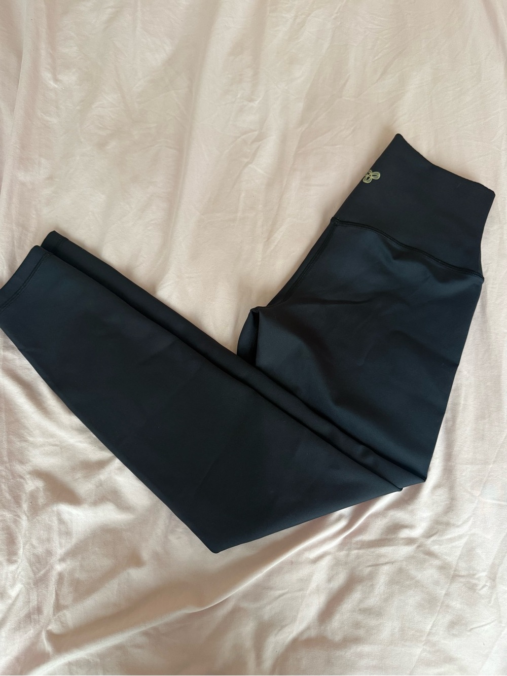 Aritzia Golden Black High-Waist Leggings